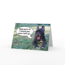 Une meilleure carte de bouledogue bientôt français