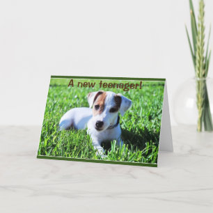 UNE NOUVELLE CARTE POUR ADOLESCENTS ***13***