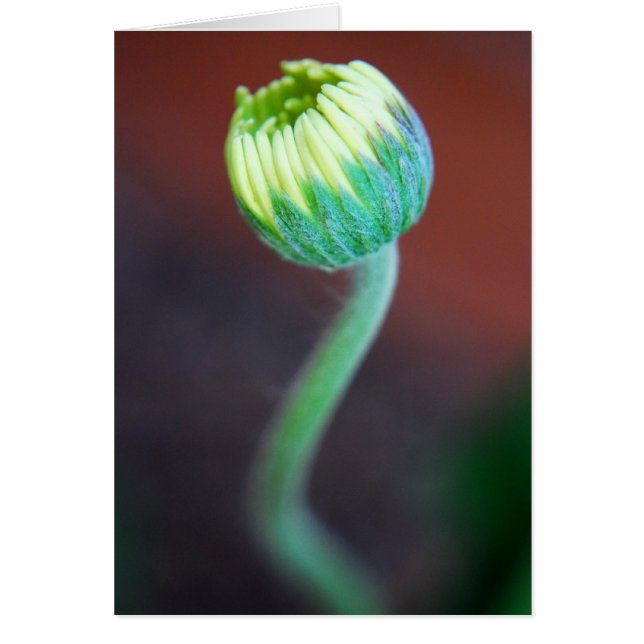 Une nouvelle saison (Devant)