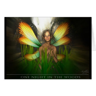 Une nuit dans les bois