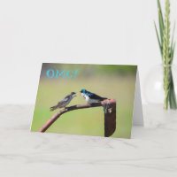 Une petite birdie m'a indiqué - la carte
