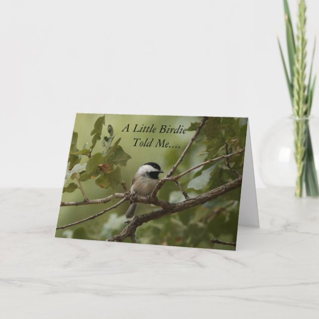 Une petite birdie m'a indiqué la carte (Devant)