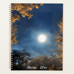 Une Pleine lune encadrée par des arbres