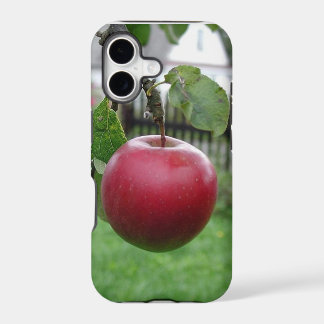 Une pomme juteuse agréable