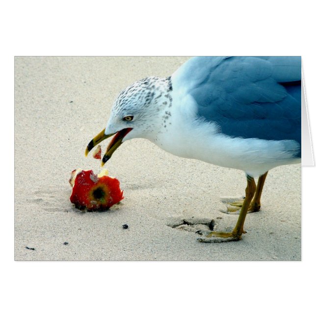 Une pomme par jour... (Devant horizontal)
