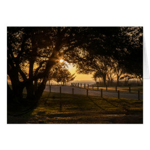 Une Soirée À Whalehead