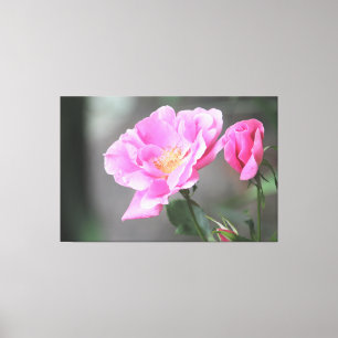 Une Superbe Toile Rose Rose