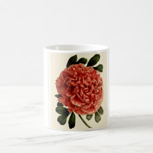 Une tasse avec une belle fleur de lecture.