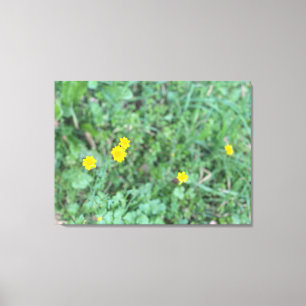 Une toile en fleurs : Beurre de Californie