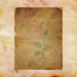 Une touche de papier à scandale rose