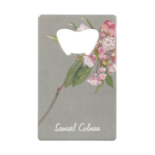 Une touffe de laurier de montagne avec Feuilles et