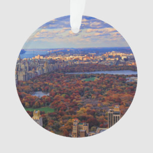 Une vue d'en haut : Automne dans Central Park 01