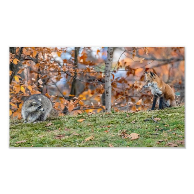 Uneasy-Begegnung Fotodruck (Vorne)