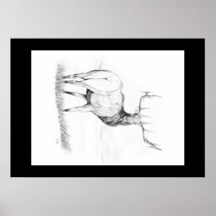 Unentscheidung ~ Elchposter Poster