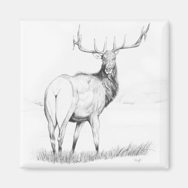 Unentscheidung - Elk Magnet (Vorne)