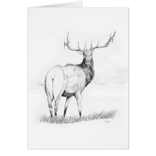 Unentschlossenheit (Vorne)