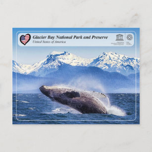UNESCO: Glacier Bay National Park - Walbeobachtung Postkarte