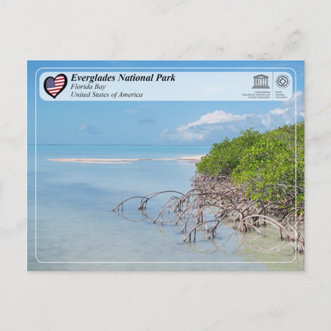 UNESCO - Nationalpark Everglades - Bucht von Flori Postkarte (Vorderseite)