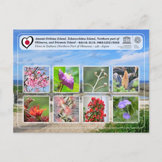 UNESCO - Nordteil der Insel Okinawa - 沖 縄 島 部 Postkarte (Vorderseite)