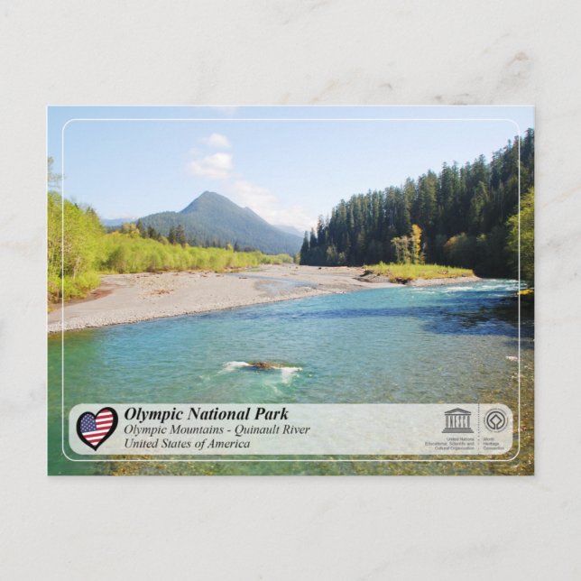 UNESCO - Olympischer Nationalpark - Fluss Quinault Postkarte (Vorderseite)