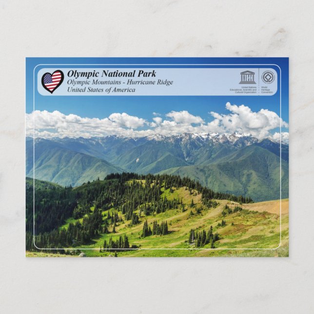 UNESCO - Olympischer Nationalpark - Hurrikan Ridge Postkarte (Vorderseite)