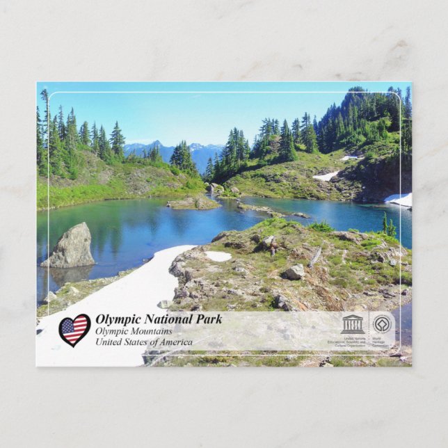 UNESCO - Olympischer Nationalpark - Olympische Ber Postkarte (Vorderseite)