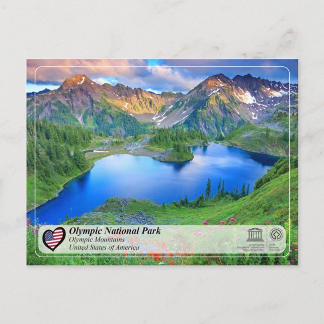 UNESCO - Olympischer Nationalpark - Olympische Ber Postkarte (Vorderseite)