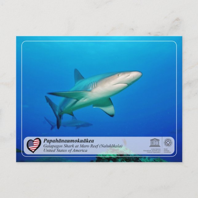 UNESCO - Papahānaumokuākea - Maro Reef Postcard Postkarte (Vorderseite)