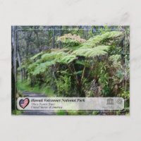 UNESCO - Vulkane in Hawaii NP - "Ola'a Forest Post