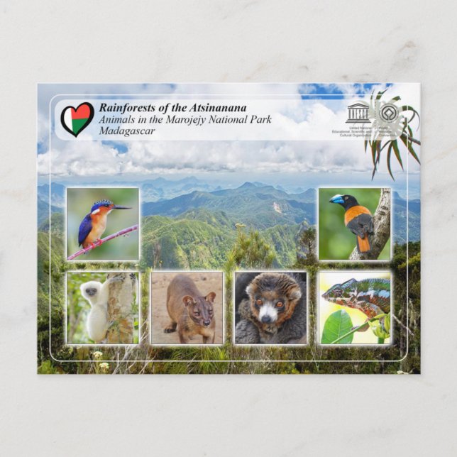 UNESCO WH- Atsinanana - Nationalpark Marojejy Postkarte (Vorderseite)