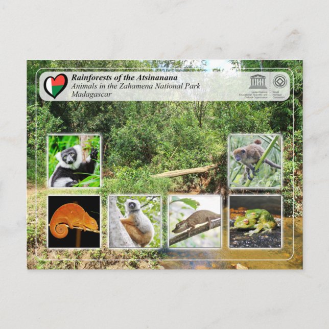 UNESCO WH- Atsinanana - Nationalpark Zahamena Postkarte (Vorderseite)
