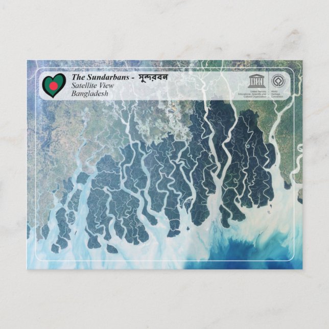 UNESCO WH- Die Sundarbans Postkarte (Vorderseite)
