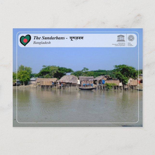 UNESCO WH- Die Sundarbans Postkarte (Vorderseite)