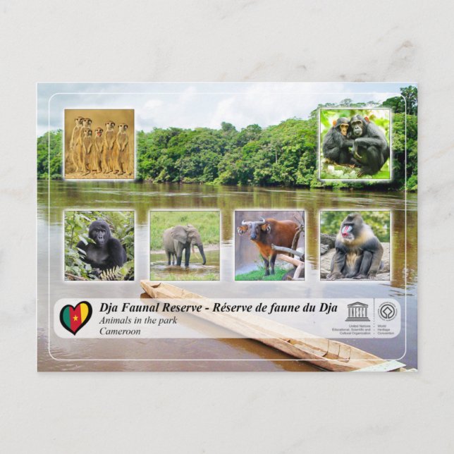 UNESCO WH- Dja Faunal Reserve Postkarte (Vorderseite)