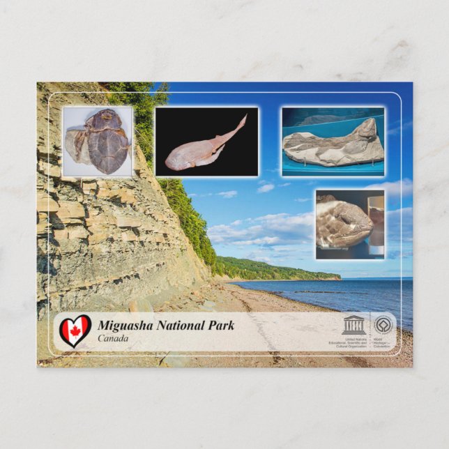 UNESCO WH- Miguasha Nationalpark Postkarte (Vorderseite)