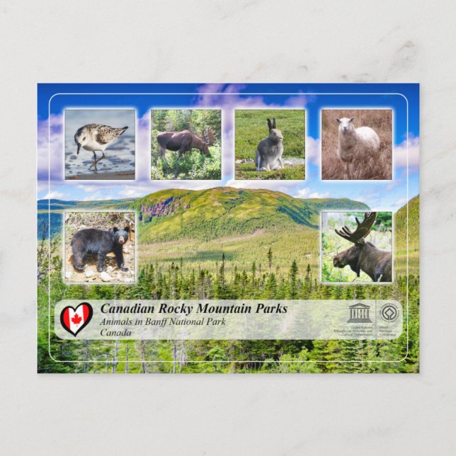 UNESCO WH- Nationalpark Gros Morne Postkarte (Vorderseite)