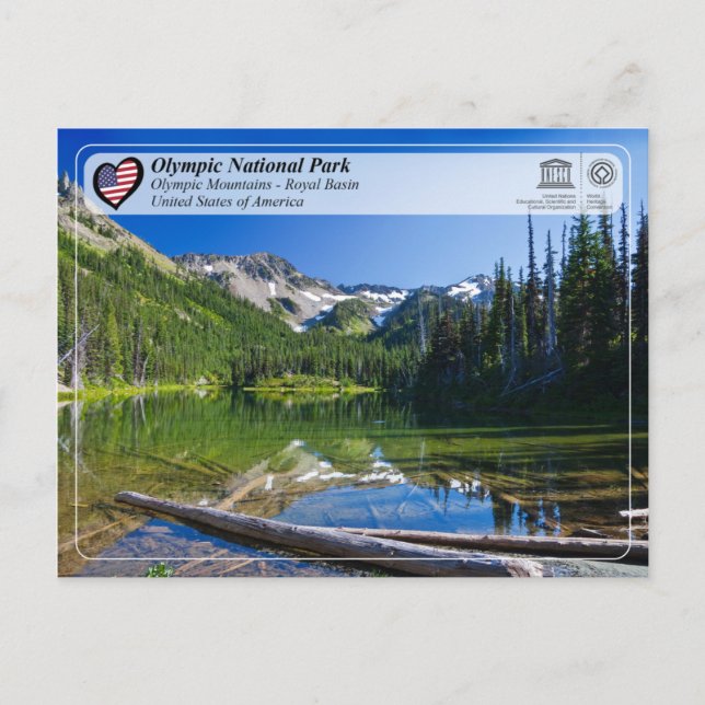 UNESCO WH- Olympischer Nationalpark - Königliches  Postkarte (Vorderseite)