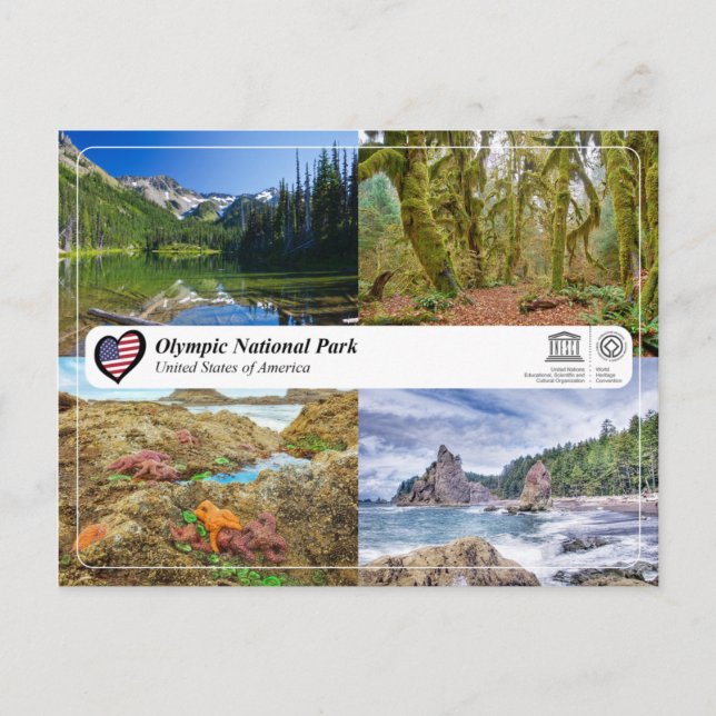 UNESCO WH- Olympischer Nationalpark Postkarte (Vorderseite)