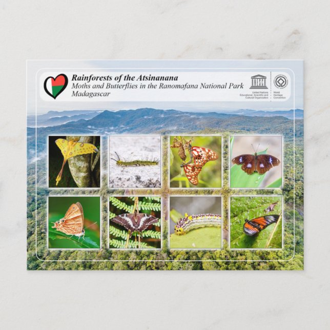 UNESCO WHS - Atsinanana - Ranomafana National Park Postkarte (Vorderseite)