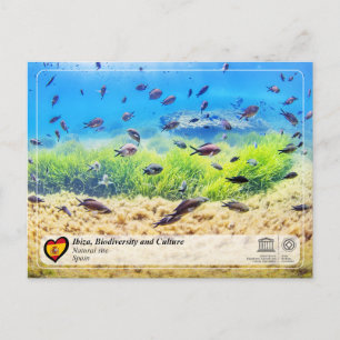 UNESCO WHS - Biodiversität von Ibiza/Eivissa Postkarte