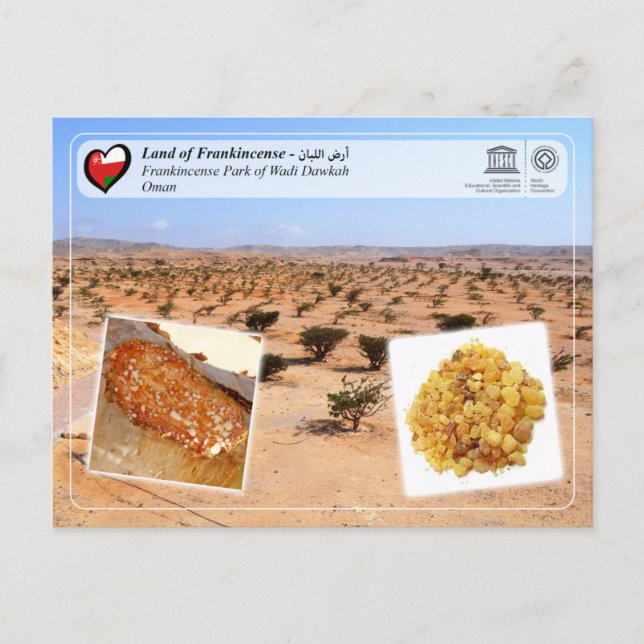 UNESCO WHS - Frankincense Park Wadi Dawkah Postkarte (Vorderseite)