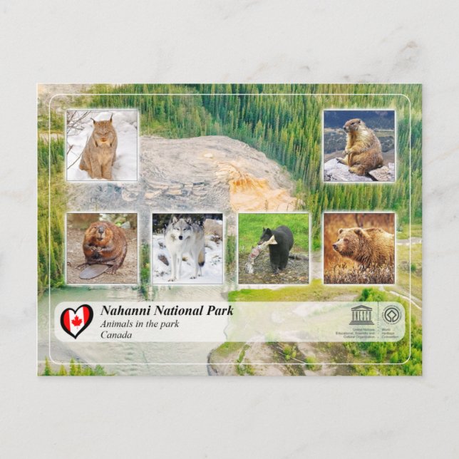 UNESCO WHS - Nationalpark Nahanni Postkarte (Vorderseite)