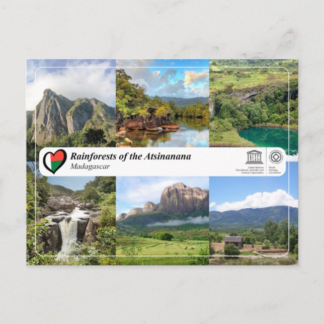 UNESCO WHS - Regenwälder der Atsinanana Postkarte (Vorderseite)