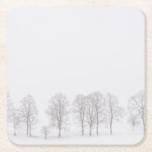 Unfruchtbare Bäume im Winter in einem weißen Rechteckiger Pappuntersetzer