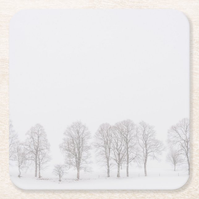 Unfruchtbare Bäume im Winter in einem weißen Rechteckiger Pappuntersetzer (Vorderseite)