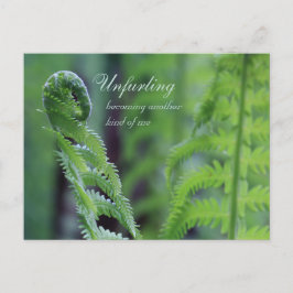 Unfurling fern leaf CC0191 Nature nah-up Foto Postkarte