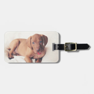Ungar Vizsla Welpe Gepäckanhänger