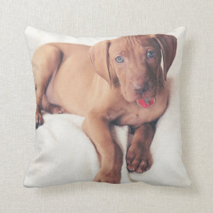 Ungar Vizsla Welpe Kissen
