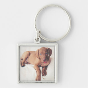 Ungar Vizsla Welpe Schlüsselanhänger