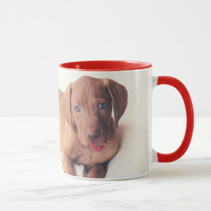 Ungar Vizsla Welpe Tasse